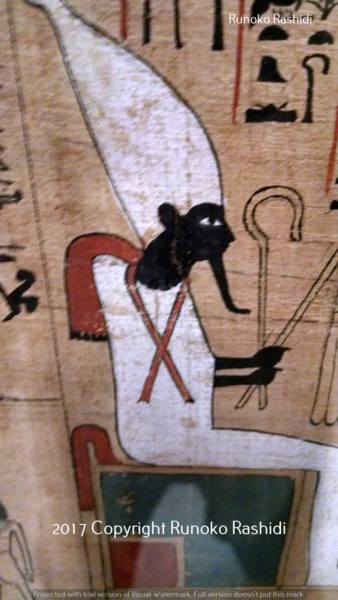 ph osiris neues museum berlin