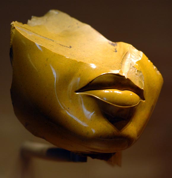 ph.nefertiti metropolitan ny